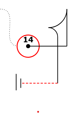 6. Weibchen